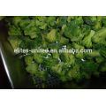 IQF frozen fresh broccoli vegetables